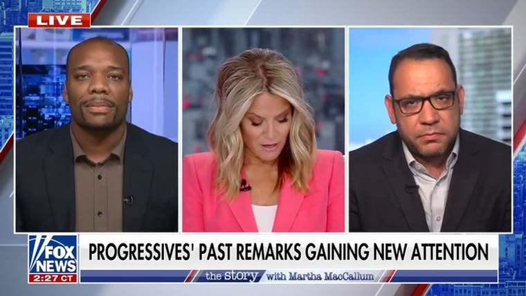 Former DNC official admits an internal fight exists between ‘regular’ Democrats and ‘crazy’ socialists