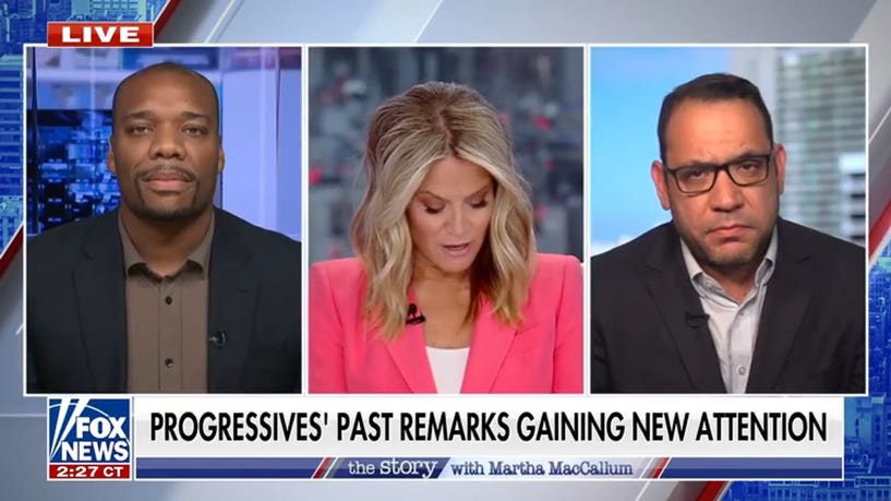 Former DNC official admits an internal fight exists between ‘regular’ Democrats and ‘crazy’ socialists