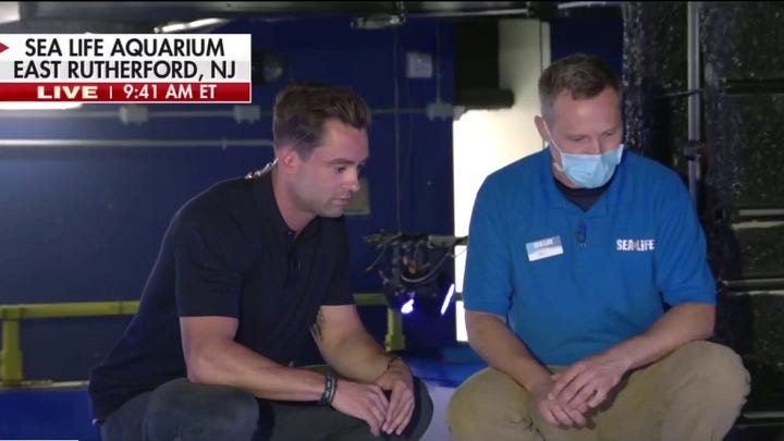 Adam Klotz feeds sharks at NJ Sea Life Aquarium