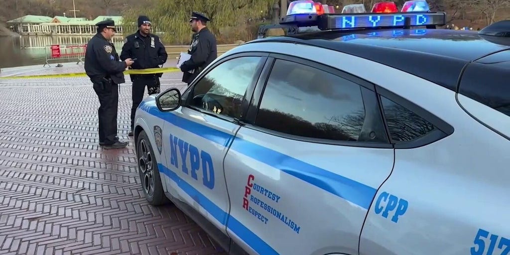 Police divers in Central Park amid manhunt for CEO's killer