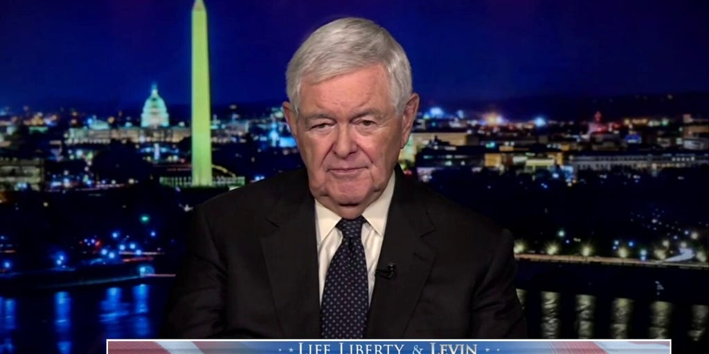 Newt Gingrich sounds off on the ‘last castle of left-wing nutism’