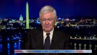 Newt Gingrich sounds off on the ‘last castle of left-wing nutism’
