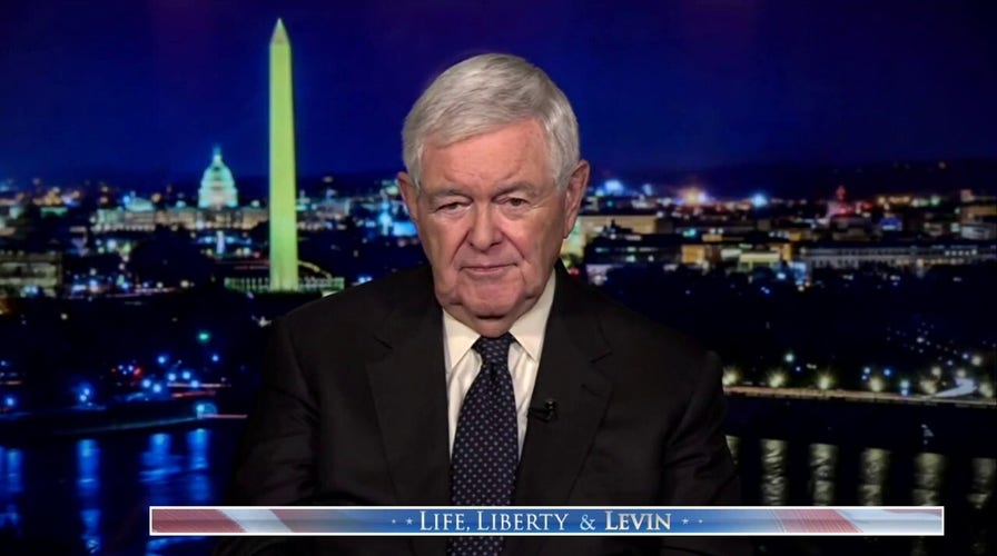 Newt Gingrich sounds off on the ‘last castle of left-wing nutism’