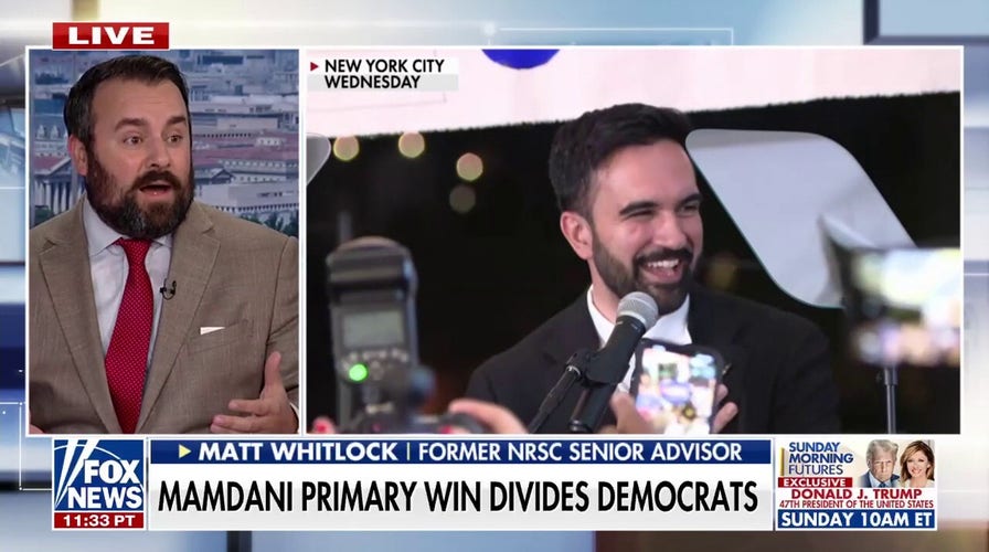 GOP advisor explains how Republicans can 'capitalize' on 'radical' candidate Zohran Mamdani