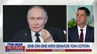 Sen. Cotton: Trump has given Putin 'numerous' opportunities to reach a Ukraine ceasefire