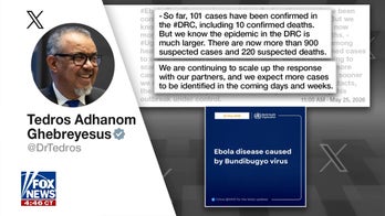 WHO warns Ebola outbreak will likely get worse before it gets better