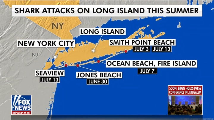 Two more shark attacks on Long Island bring total to five