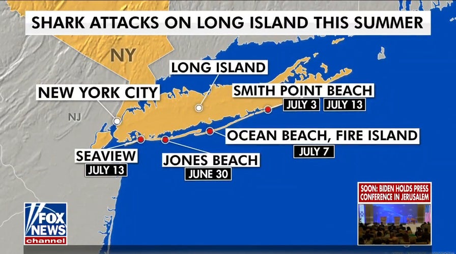 Two more shark attacks on Long Island bring total to five