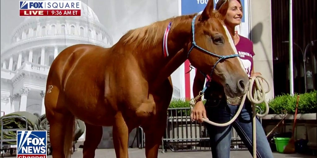 Warrior Ranch Foundation uses horses to help veterans with PTSD Fox