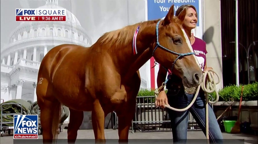 Warrior Ranch Foundation uses horses to help veterans with PTSD