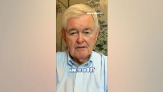 Newt Gingrich reveals what GOP must do to win midterms