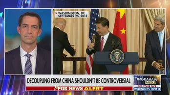 Decouple US economy from Chinese economy: Cotton