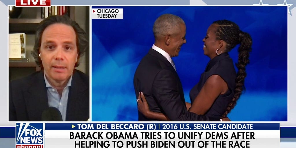 Kamala Harris called out for campaigning amid DNC: 'Bizarre thing to do'