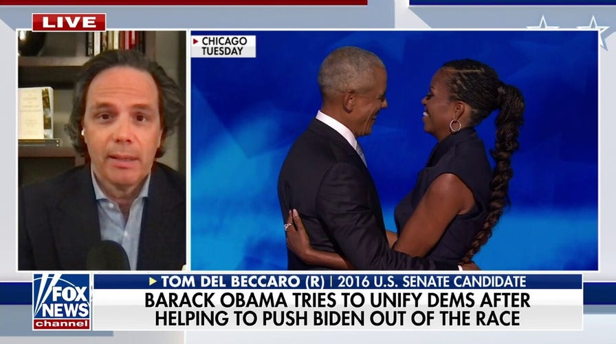 Kamala Harris called out for campaigning amid DNC: 'Bizarre thing to do'