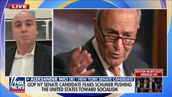 Albanian immigrant who fled socialism looks to challenge Chuck Schumer for New York Senate seat  
