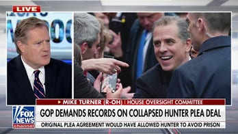 GOP rep. worries about 'political influence' within Hunter Biden probe