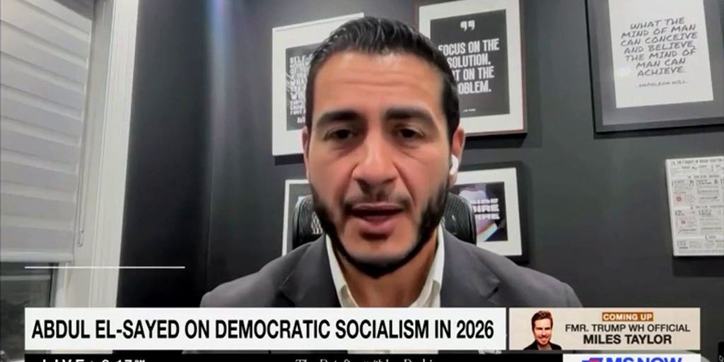 El-Sayed insists he's 'simply not a socialist' despite backing from prominent socialists
