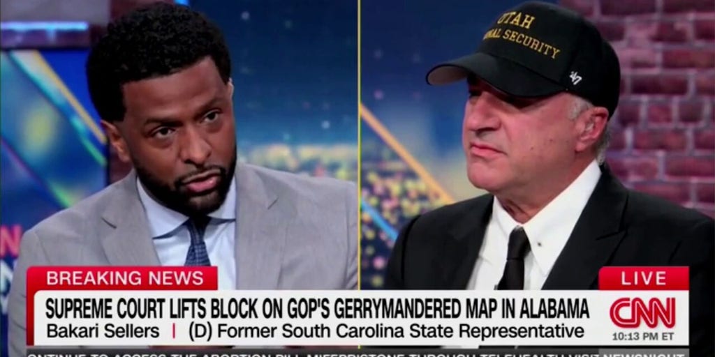 Liberal CNN panelist erupts on O'Leary, says 'don't be a d---' in heated exchange
