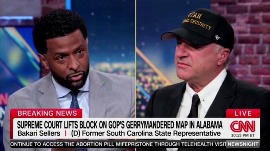 Liberal CNN panelist erupts connected O'Leary, says 'don't beryllium a d---' successful heated exchange