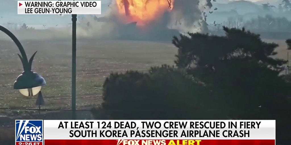 GRAPHIC WARNING: Plane skids off South Korea airport runway, dozens dead