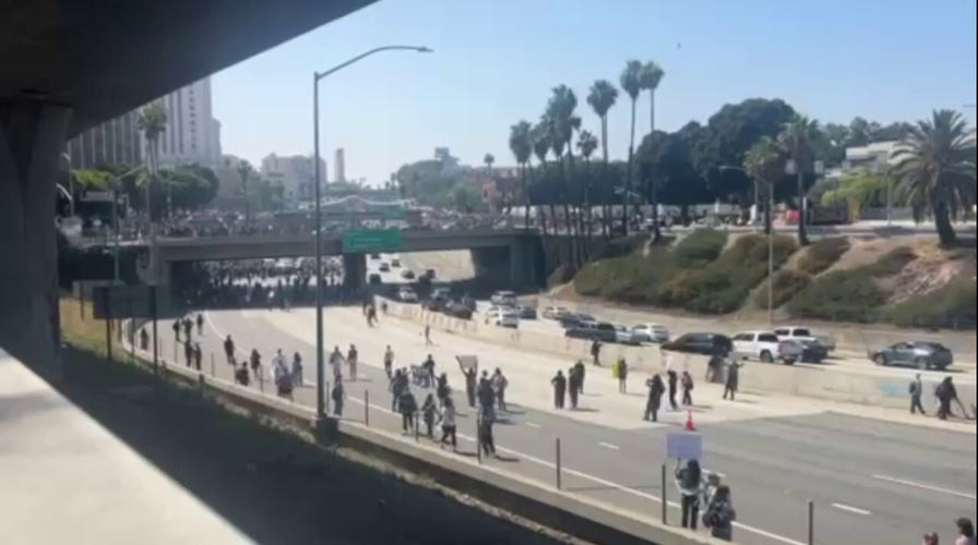ICE protesters force closure of major highway in Los Angeles