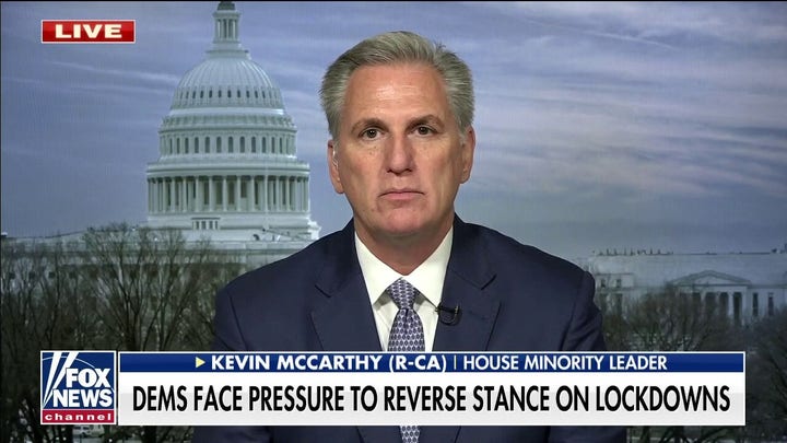 Rep. Kevin McCarthy slams Democrats over COVID policies: 'It's all about power'