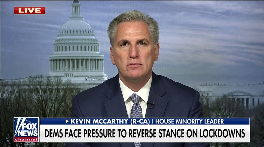 Rep. Kevin McCarthy slams Democrats over COVID policies: 'It's all about power'