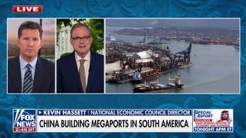 Trump 'won't stand' for China's 'influence network' around the world, says economic advisor
