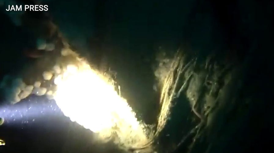 Divers identify 19th century shipwreck after discovering Cunard Line plate in wreckage