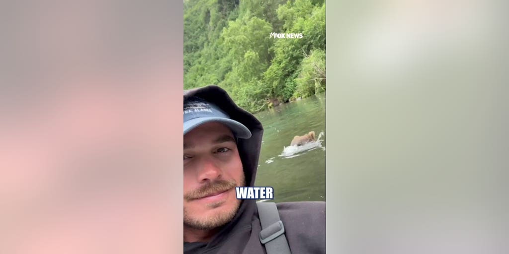 Alaska guide recounts terrifying close encounter with grizzly bear