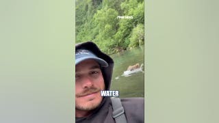 Alaska guide recounts terrifying close encounter with grizzly bear