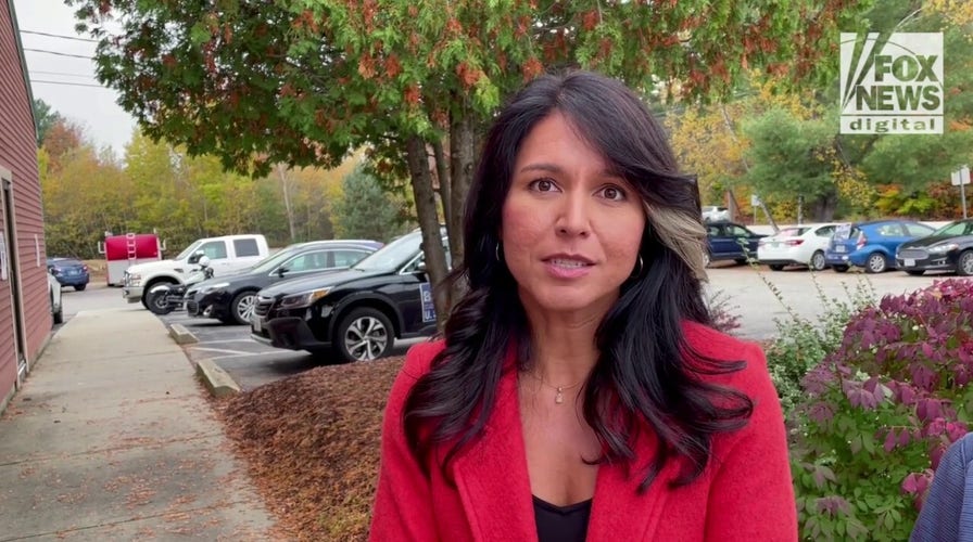 Tulsi Gabbard on campaigning with GOP candidate: 'It's only an odd couple if you're paying attention to the wrong things'