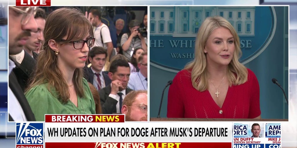 Karoline Leavitt ensures the entire Trump Cabinet will be involved in DOGE effort after Musk exit