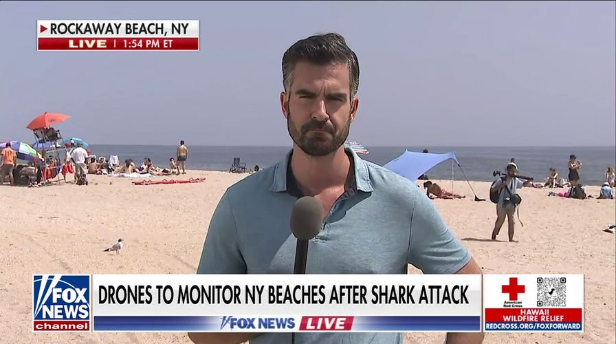 Drones to monitor NY beaches after rare shark attack
