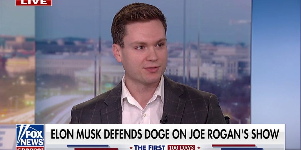 Permanent Washington's mentality towards DOGE has been 'nothing short of beltway entitlement': Republican strategist