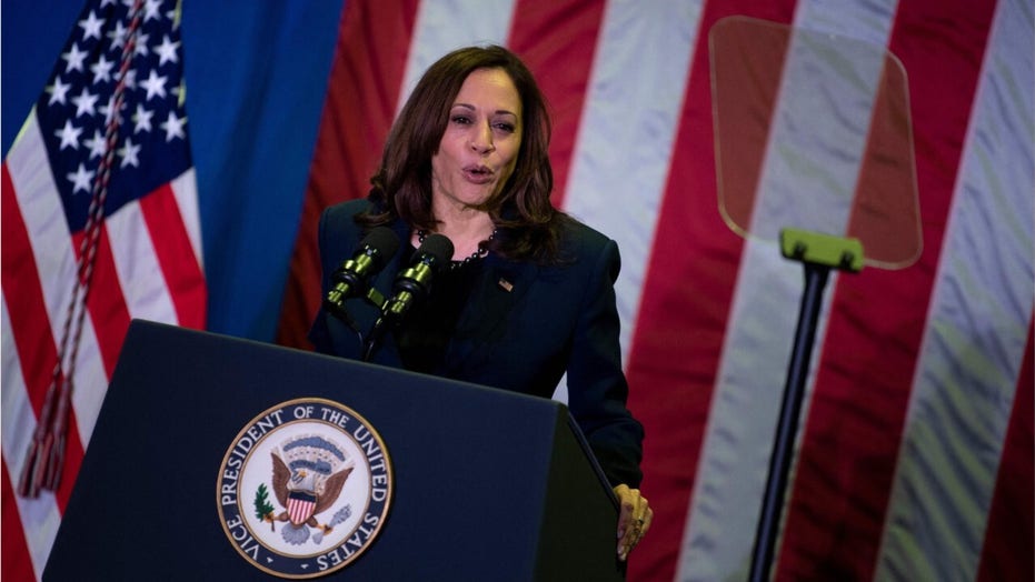 House Democrat slams Kamala Harris on border: ‘Doesn’t look like she’s very interested in this’