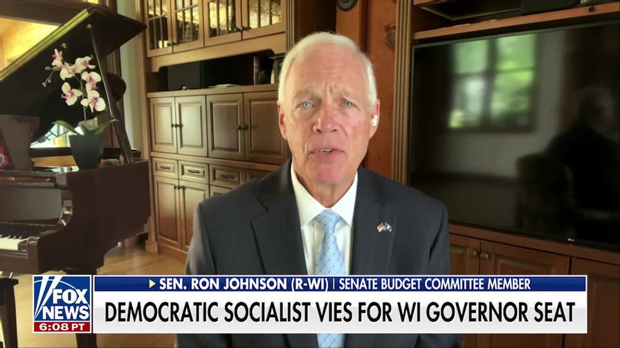 Sen Ron Johnson: Democrats are being 'obnoxiously obstructionist'