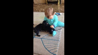 SEE IT: Baby AND puppies