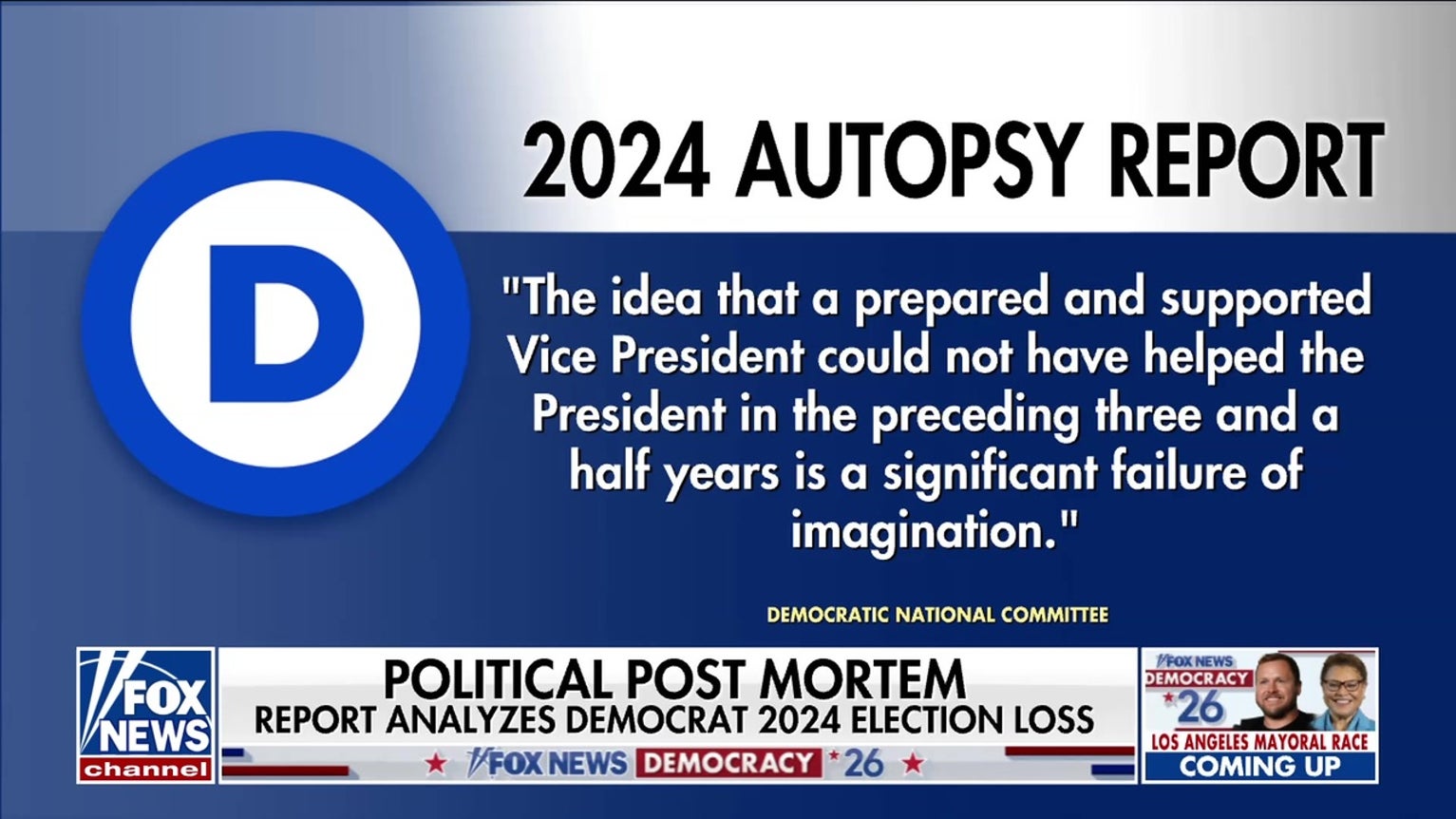 Democrats release long-awaited 2024 election autopsy report