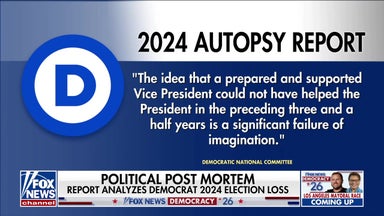 Democrats release long-awaited 2024 election autopsy report
