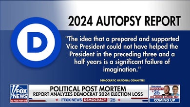 Democrats release long-awaited 2024 election autopsy report