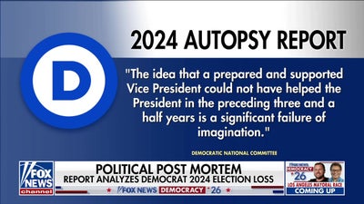 Democrats release long-awaited 2024 election autopsy report