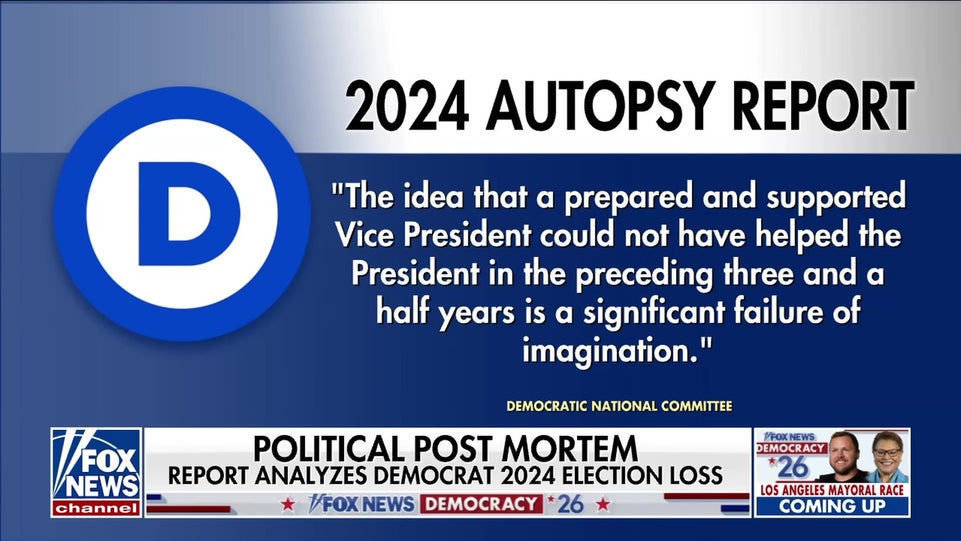 Democrats release long-awaited 2024 election autopsy report