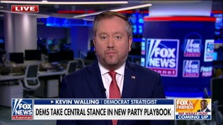 Democrat strategist stresses focus on the present: 'Who cares about 2029'