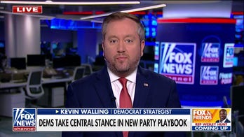 Democrat strategist stresses focus on the present: 'Who cares about 2029'