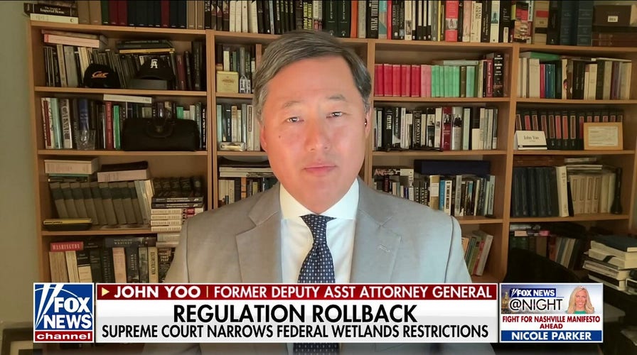 This government doesn’t recognize ‘basic freedoms’: John Yoo