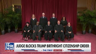 President Trump desires to change birthright citizenship through the courts - Fox News