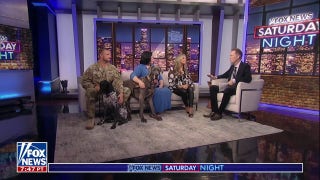 Service, law enforcement, emotional support: Tom Shillue interviews some special dogs - Fox News