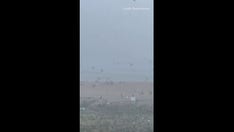 Severe weather in Delaware sends beach umbrellas flying into ocean: 'Downright apocalyptic-looking'