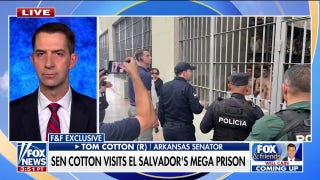 Sen. Cotton gets an inside look at El Salvador's mega prison, becomes first US official to enter - Fox News